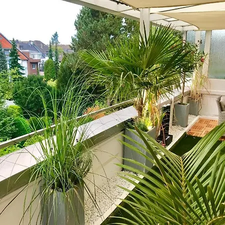 Haven Dusseldorf